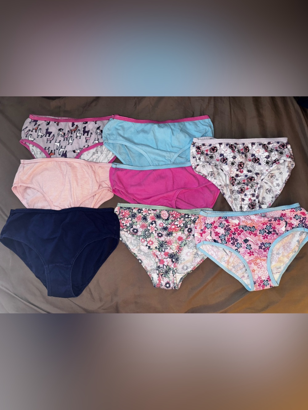 Hanes Girls Underwear Bundle Size 10 Assorted Cotton Briefs 8 Pair Floral Dog